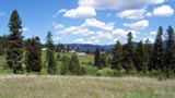 hoseback riding trails in national forest back country